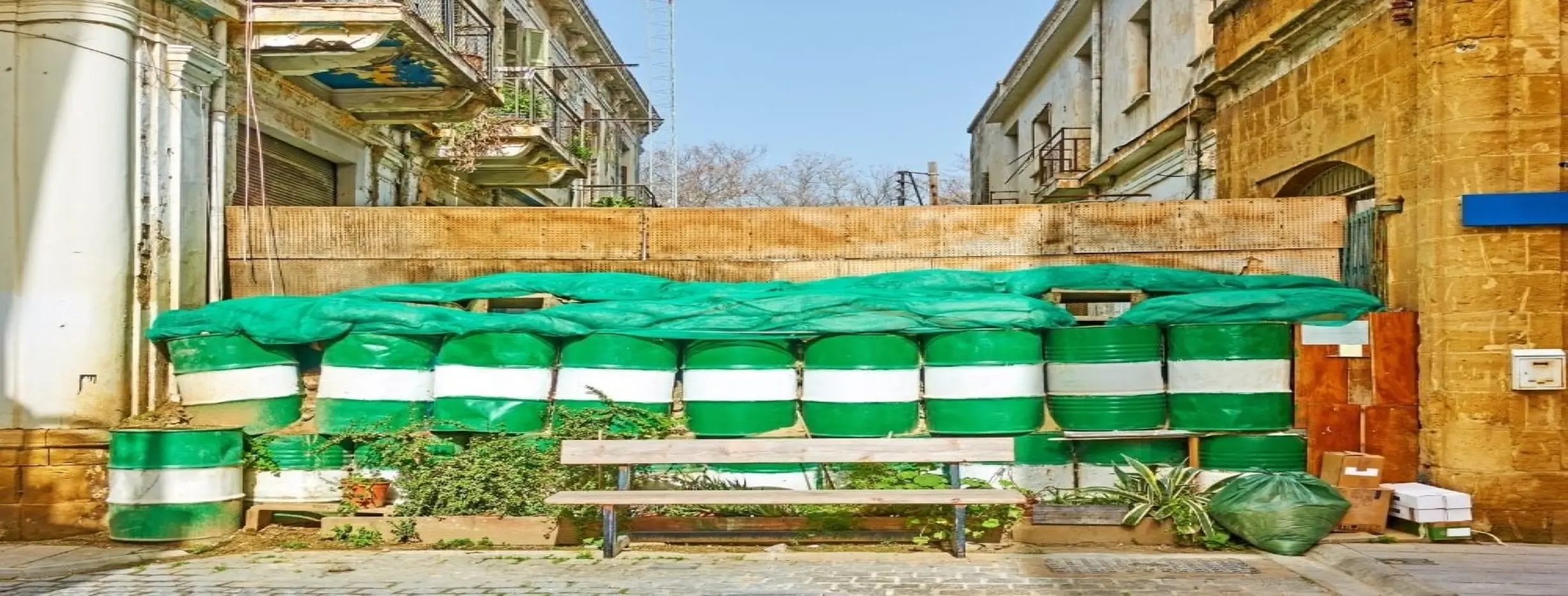 Image for Green Line Crossing